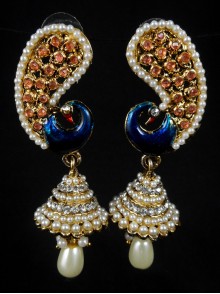 Fashion Earrings